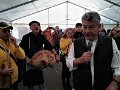 foire aux champignons (3)